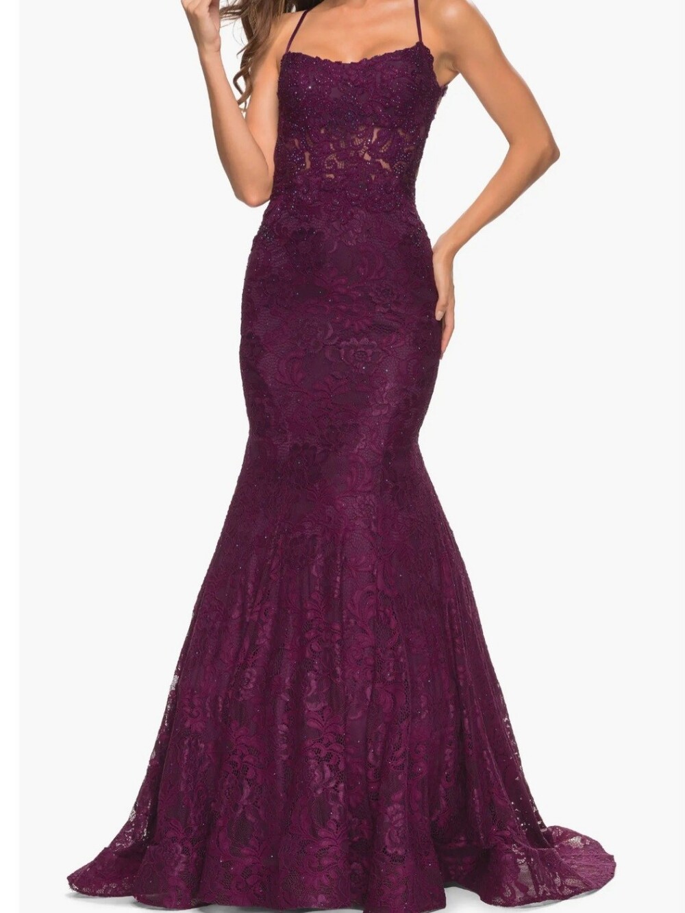 Mermaid Lace Gown with Sheer Bodice and Open Back